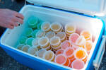 DRY_0405web