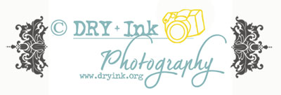 DRY Ink logo